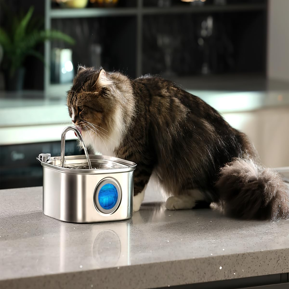 A long-haired cat drinking from the Lapbrook fountain